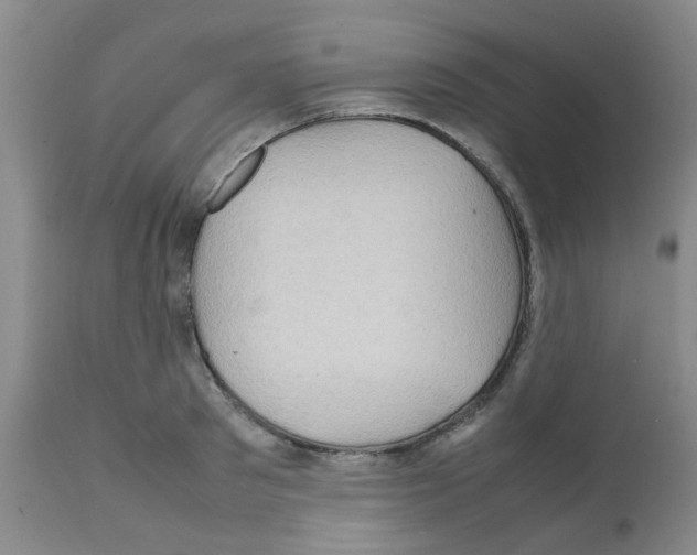X0000112090897200909151133