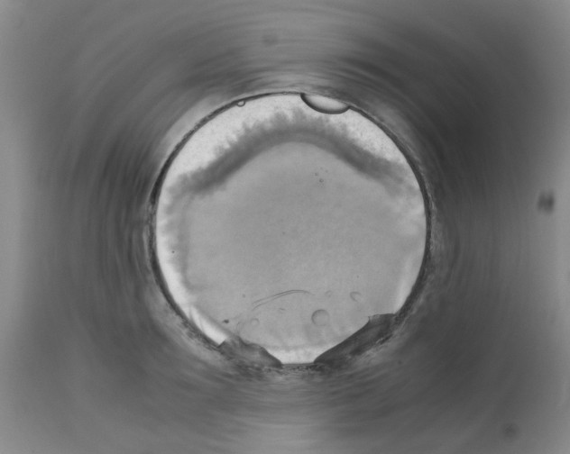 X0000112090899200909151133
