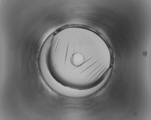 X0000112090901200909151133
