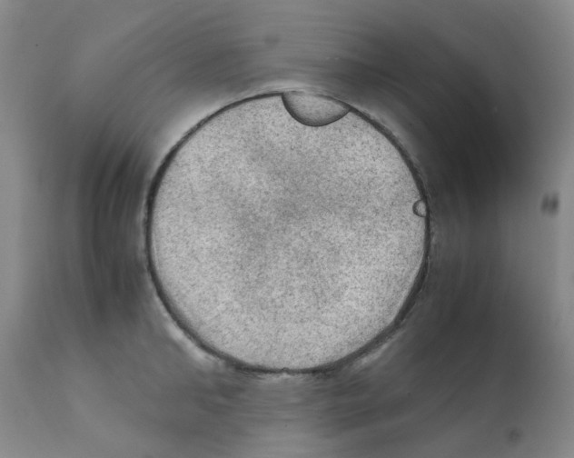 X0000112090902200909151133