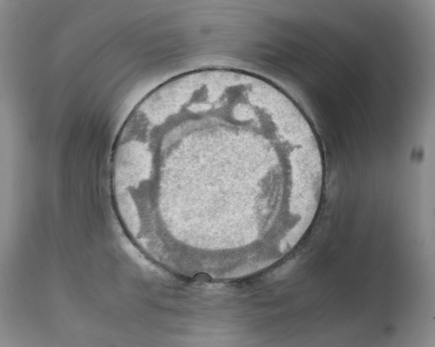 X0000112090903200909151133