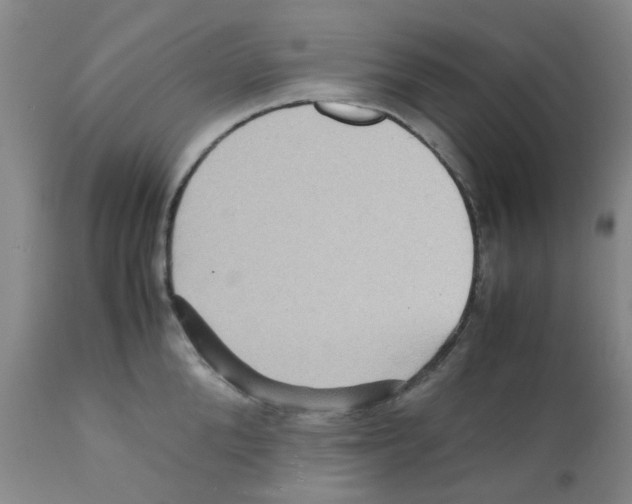 X0000112090904200909151133