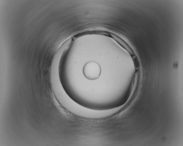 X0000112090905200909151133