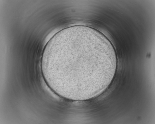 X0000112090906200909151133