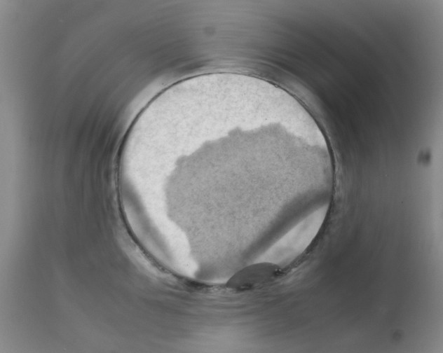 X0000112090907200909151133