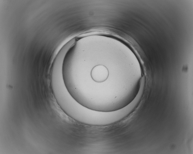 X0000112090908200909151133