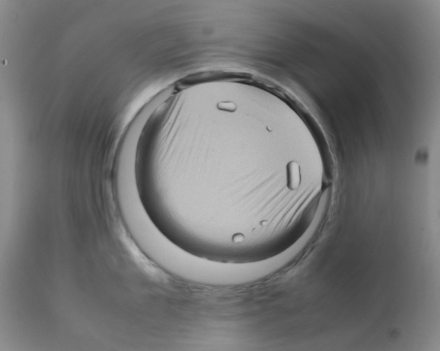 X0000112090909200909151133
