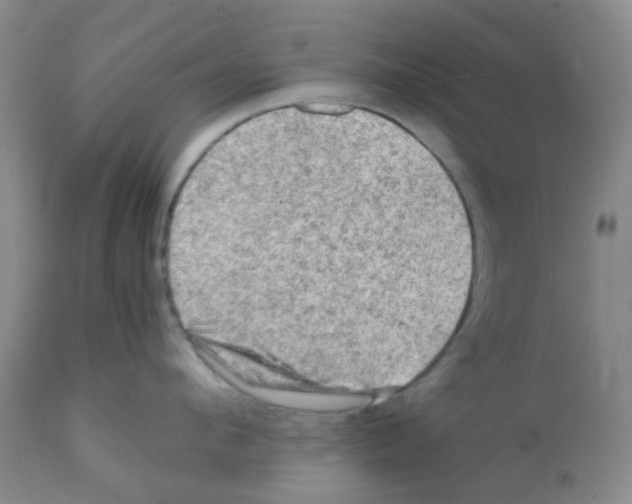 X0000112090912200909151133