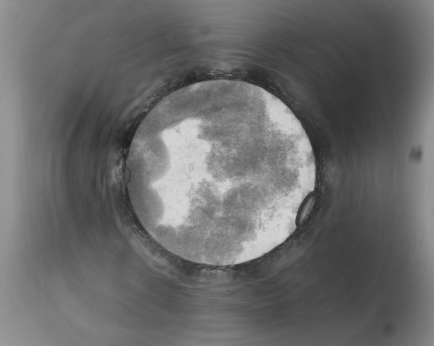 X0000112090914200909151132