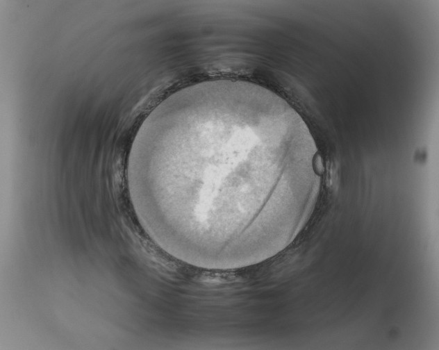 X0000112090915200909151132