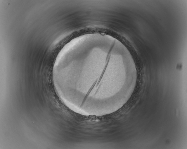 X0000112090919200909151133