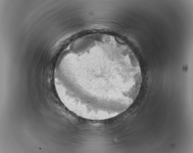 X0000112090920200909151133