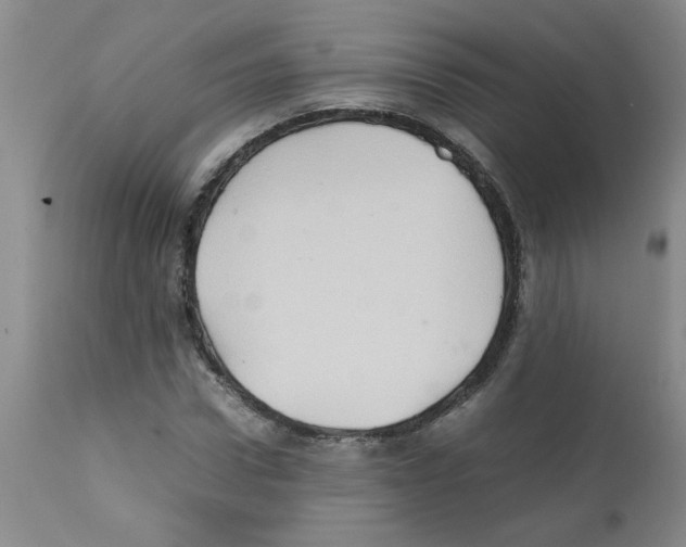 X0000112090922200909151133