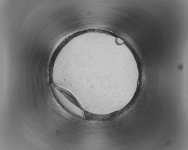 X0000112090924200909151133
