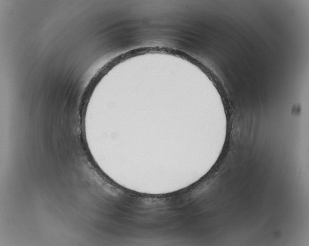 X0000112090927200909151133