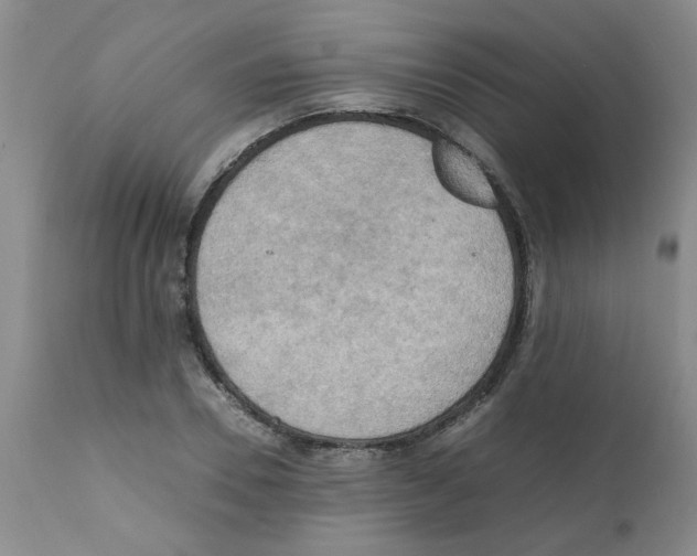 X0000112090930200909151133