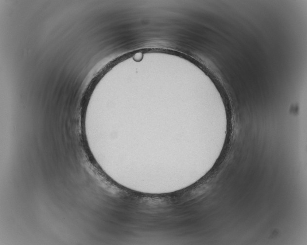 X0000112090931200909151133