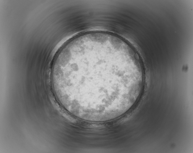X0000112090933200909151133