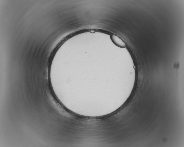 X0000112090934200909151133