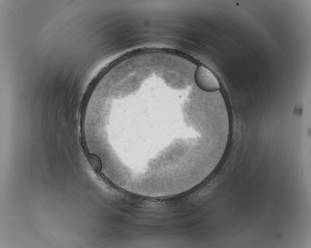 X0000112090935200909151133