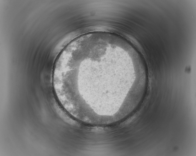 X0000112090938200909151133