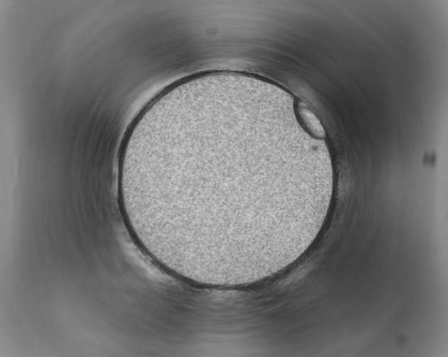 X0000112090940200909151133