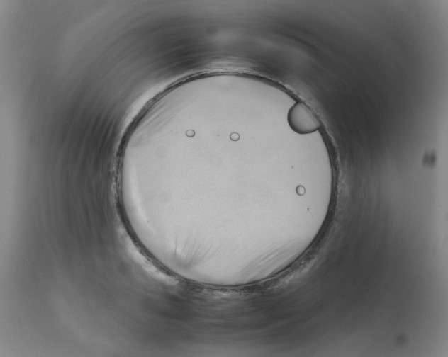 X0000112090941200909151133