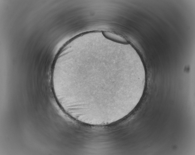 X0000112090944200909151133