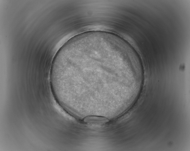 X0000112090946200909151133
