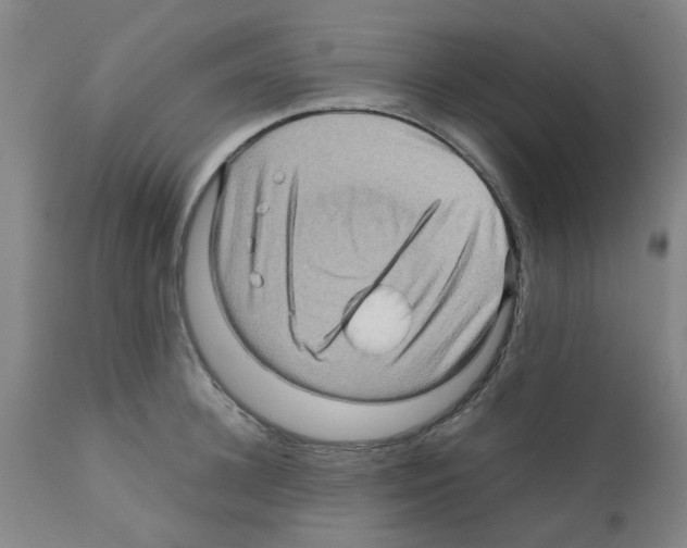 X0000112090948200909151133