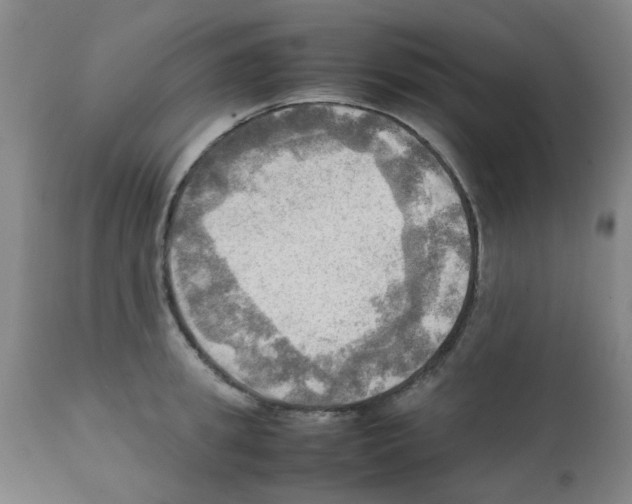 X0000112090949200909151133