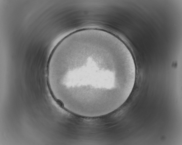 X0000112090951200909151133