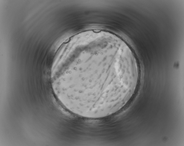 X0000112090953200909151133