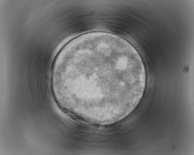 X0000112090955200909151133