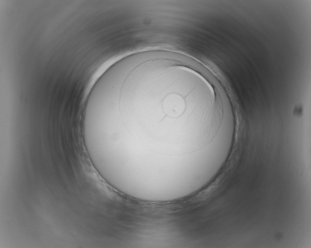 X0000112090956200909151133
