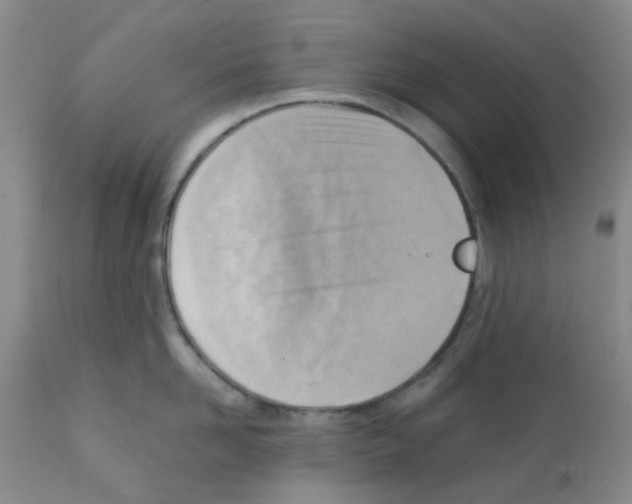 X0000112090958200909151133