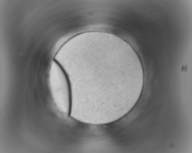 X0000112090960200909151133
