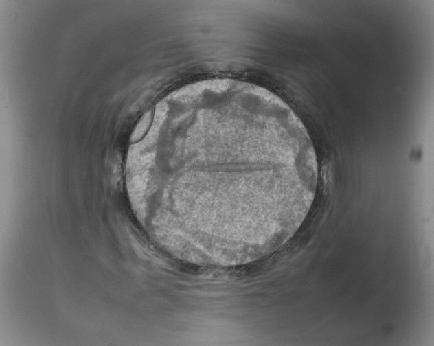 X0000112090963200909151132