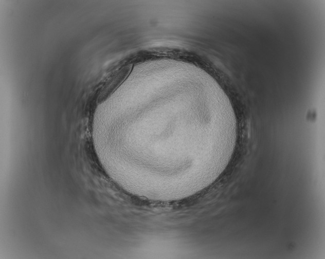 X0000112090965200909151132
