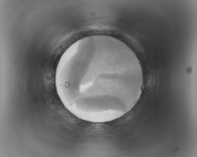 X0000112090966200909151132