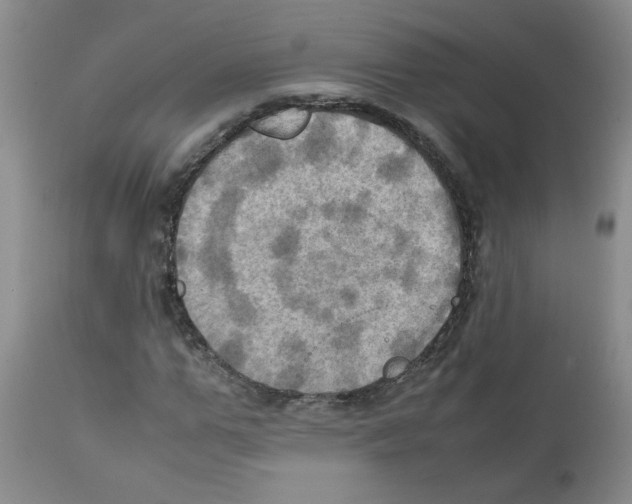X0000112090967200909151132
