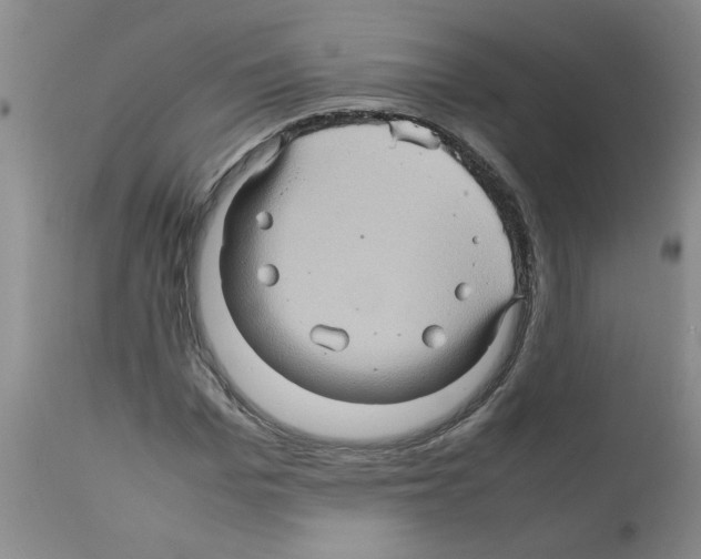 X0000112090969200909151132