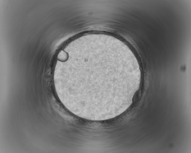 X0000112090971200909151132