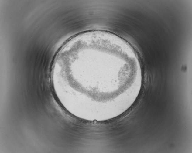 X0000112090972200909151132
