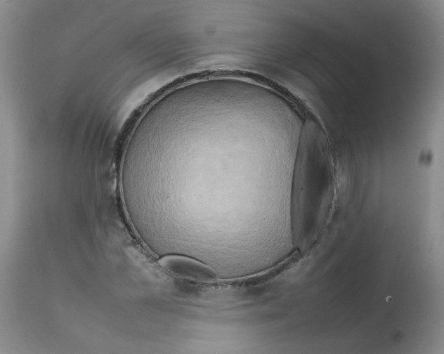 X0000112090973200909151132