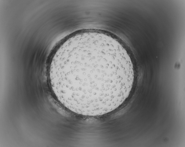 X0000112090974200909151132