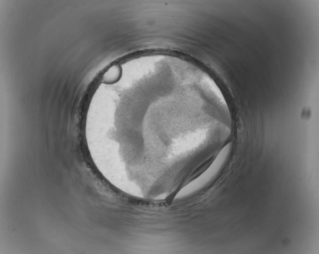 X0000112090975200909151132