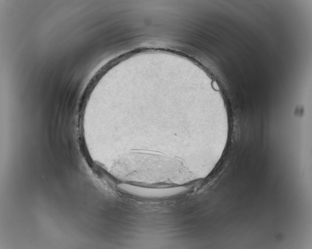 X0000112090976200909151132