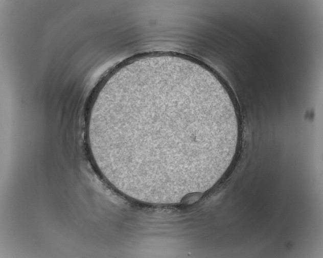 X0000112090979200909151132