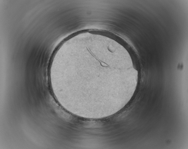 X0000112090980200909151132